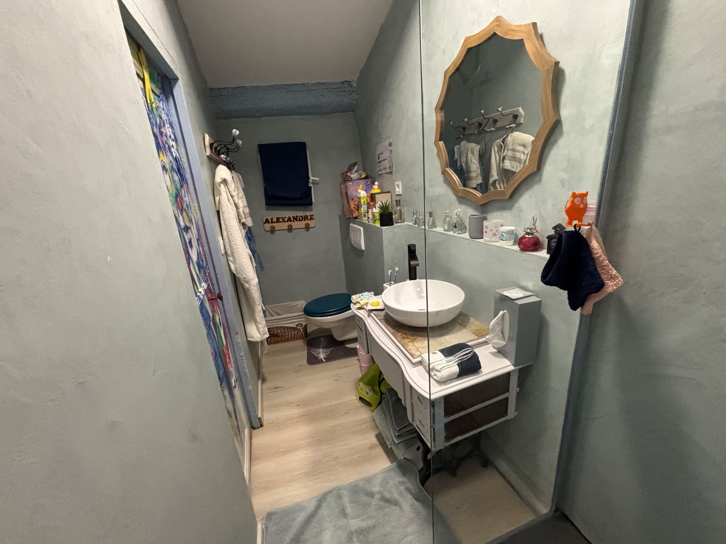 salle de bains avec douche pour gîte 6 personnes en location